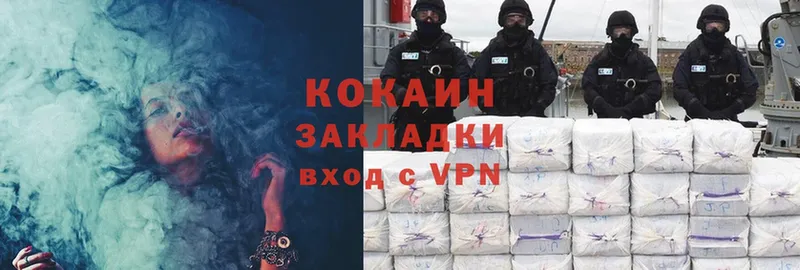 магазин    Карабаново  COCAIN Fish Scale 